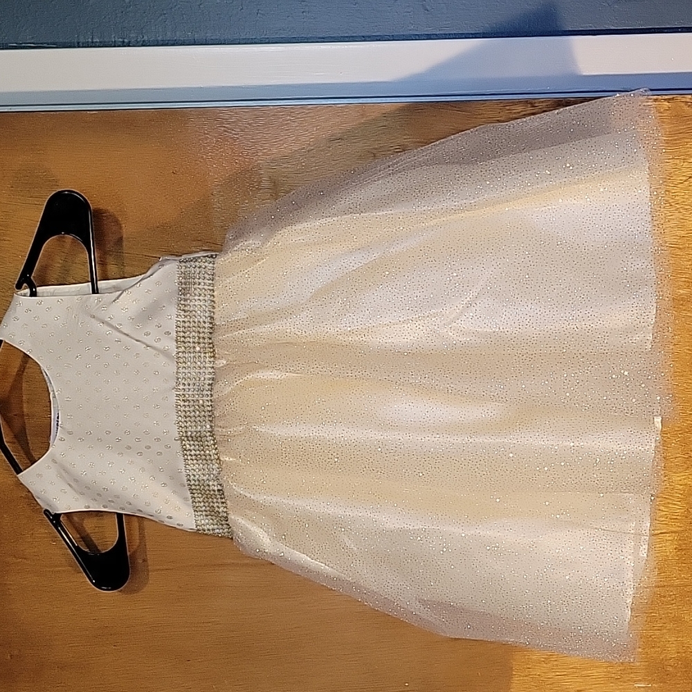 Blueberrie Boulevard Little Girls Dress sz 6